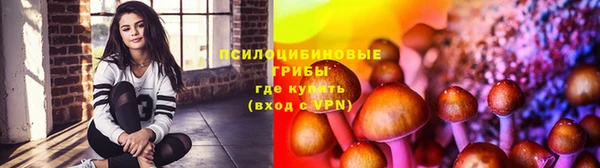 индика Баксан