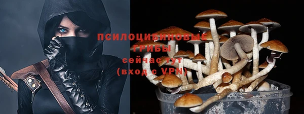 индика Баксан