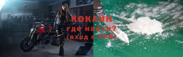 индика Баксан