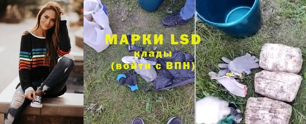 индика Баксан