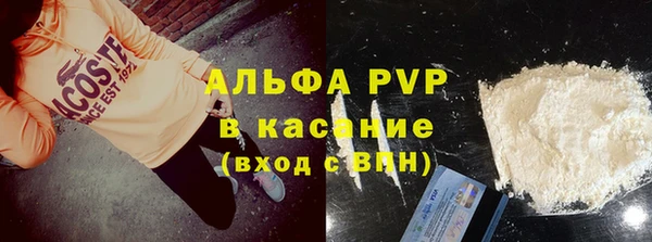 индика Баксан