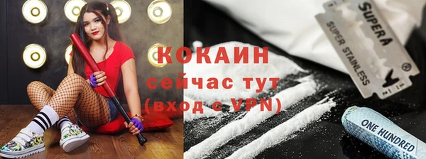 индика Баксан