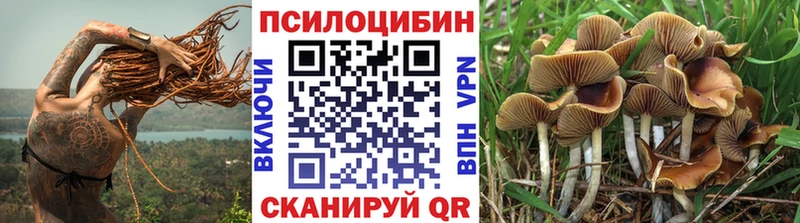Галлюциногенные грибы Psilocybe  Вятские Поляны 